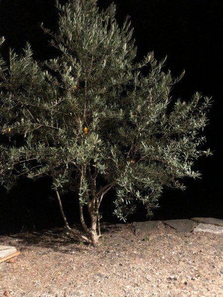 maison a vendre en cevennes