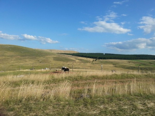 maison a vendre en cevennes