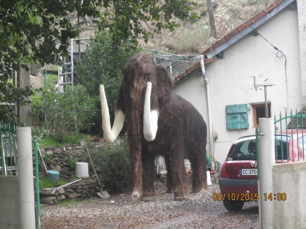 mamouth en cevennes